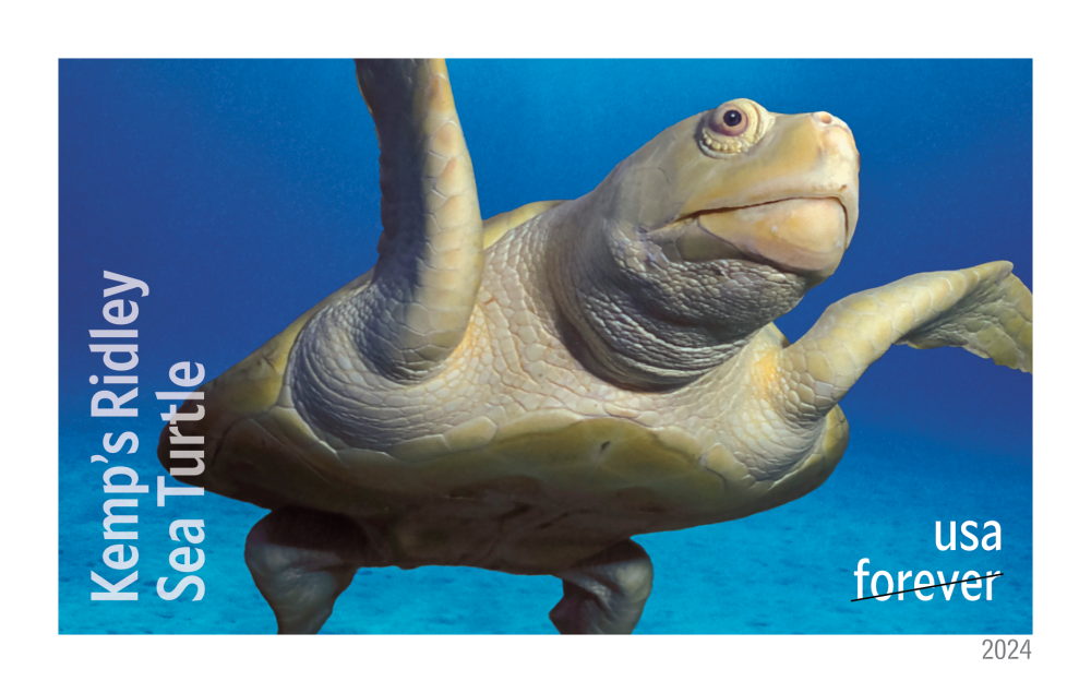 2024 Protect Sea Turtles Stamps