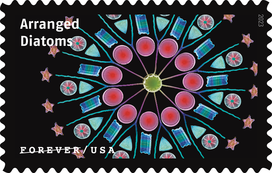 2023 Life Magnified Stamps