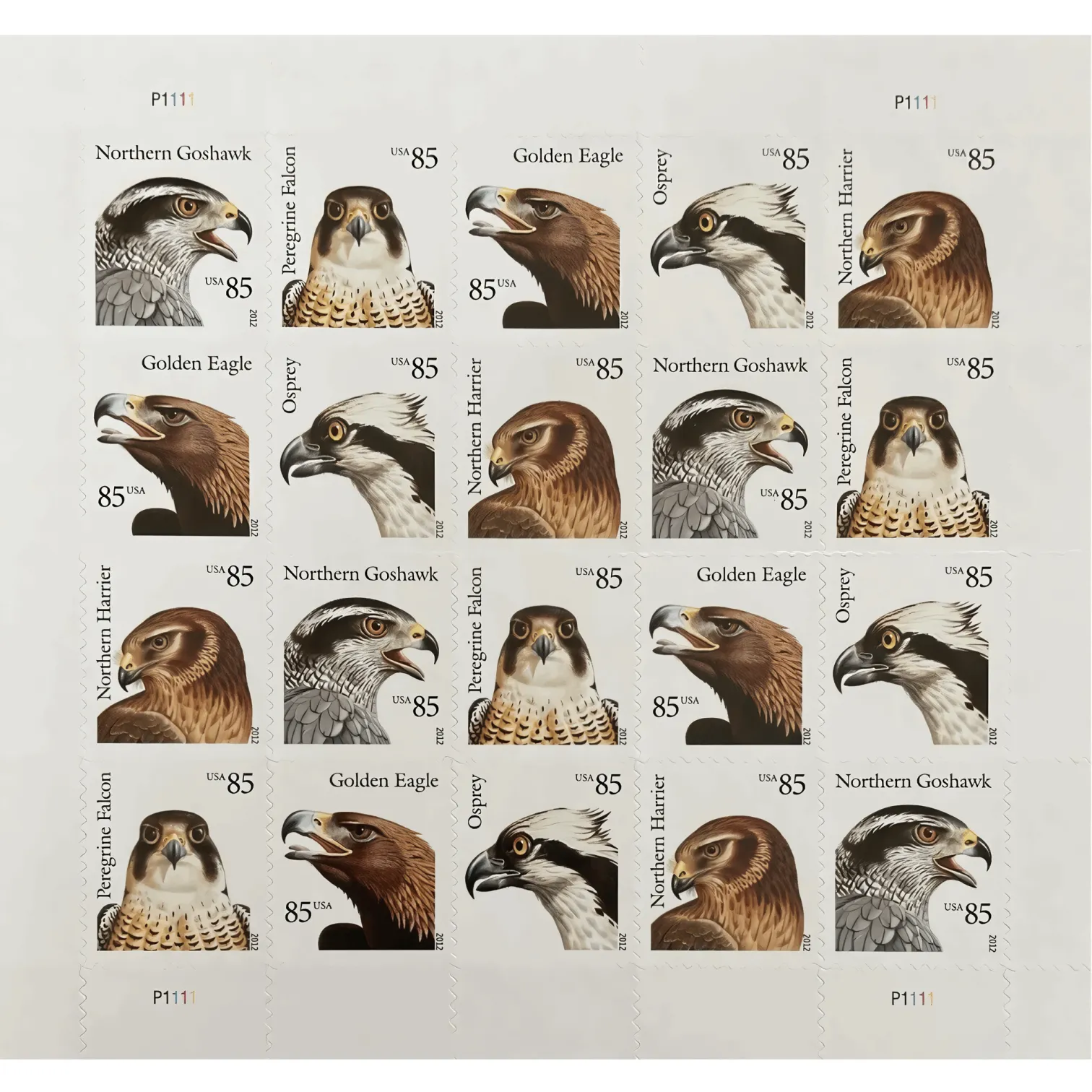 2012 BIRDS OF PREY Stamps 100 PCS