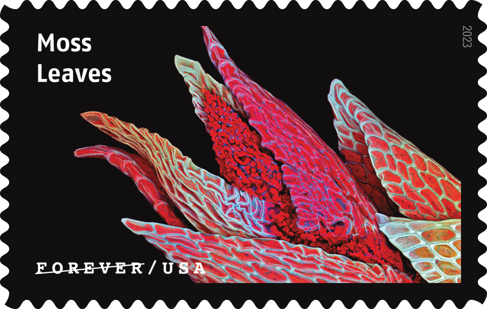 2023 Life Magnified Stamps