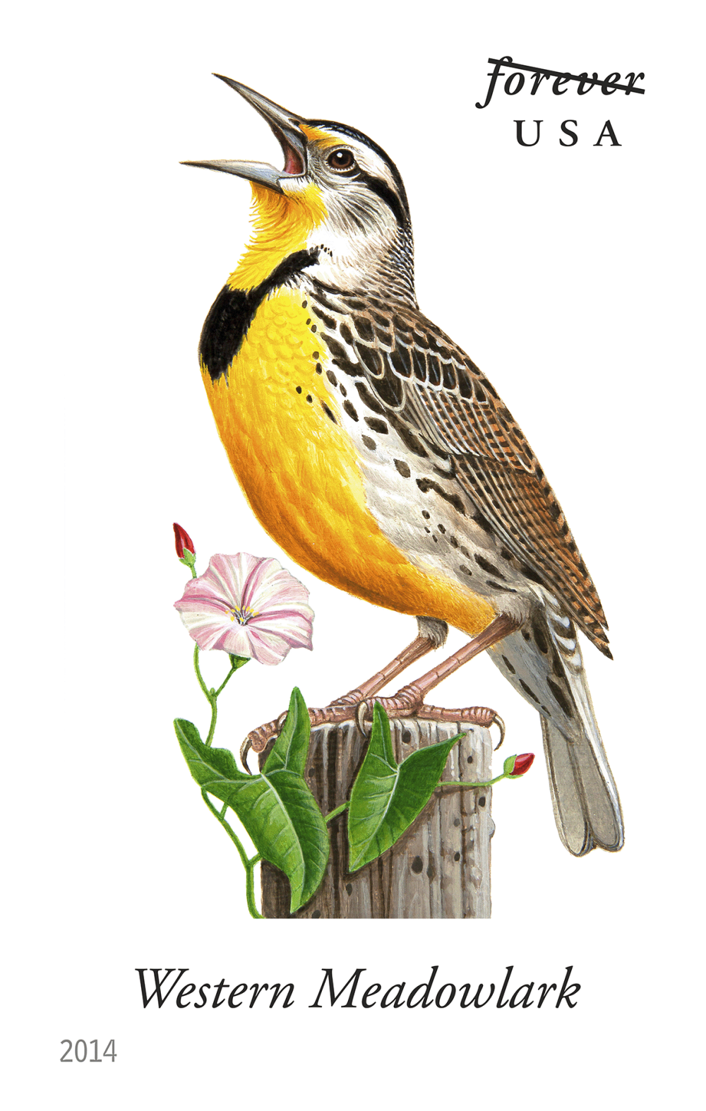2014 Song Birds Stamps