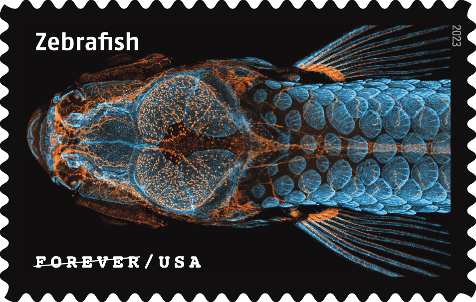2023 Life Magnified Stamps