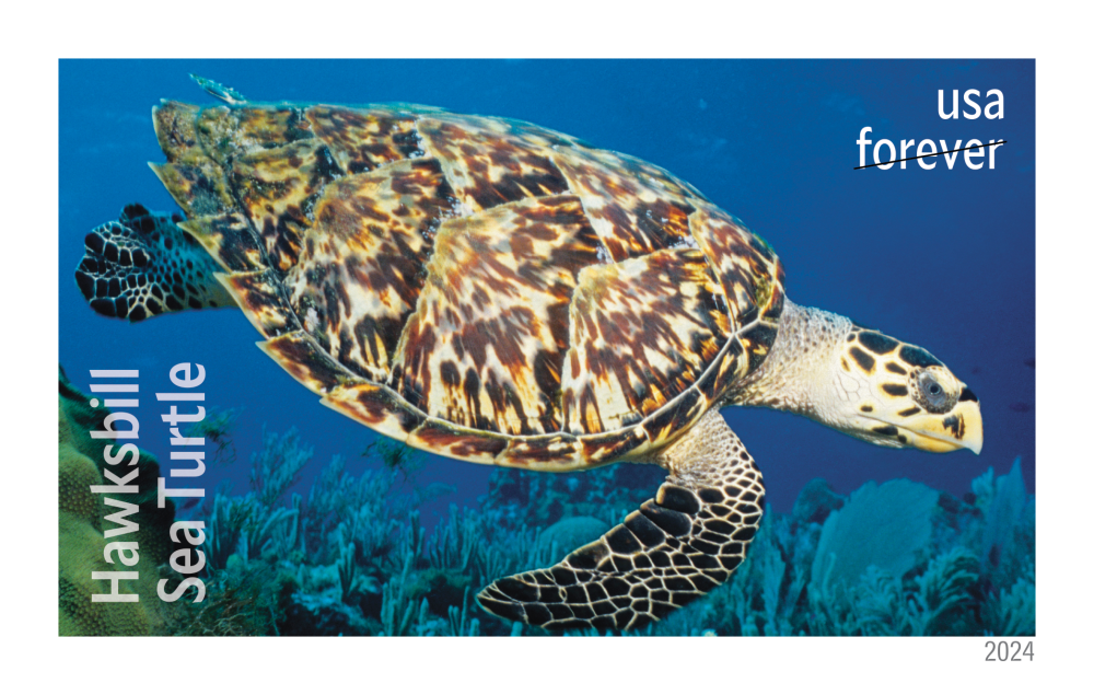 2024 Protect Sea Turtles Stamps