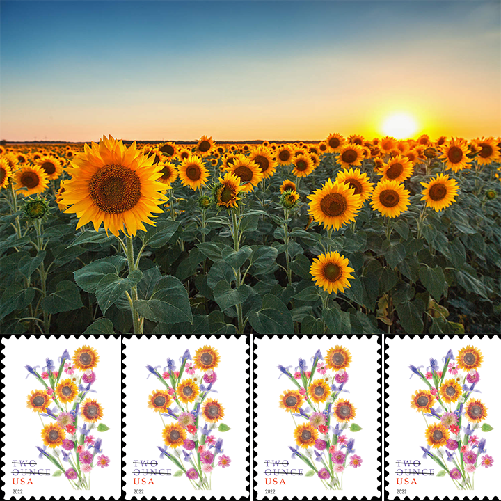 2022 Sunflower Bouquet Two Ounce Forever®Stamp
